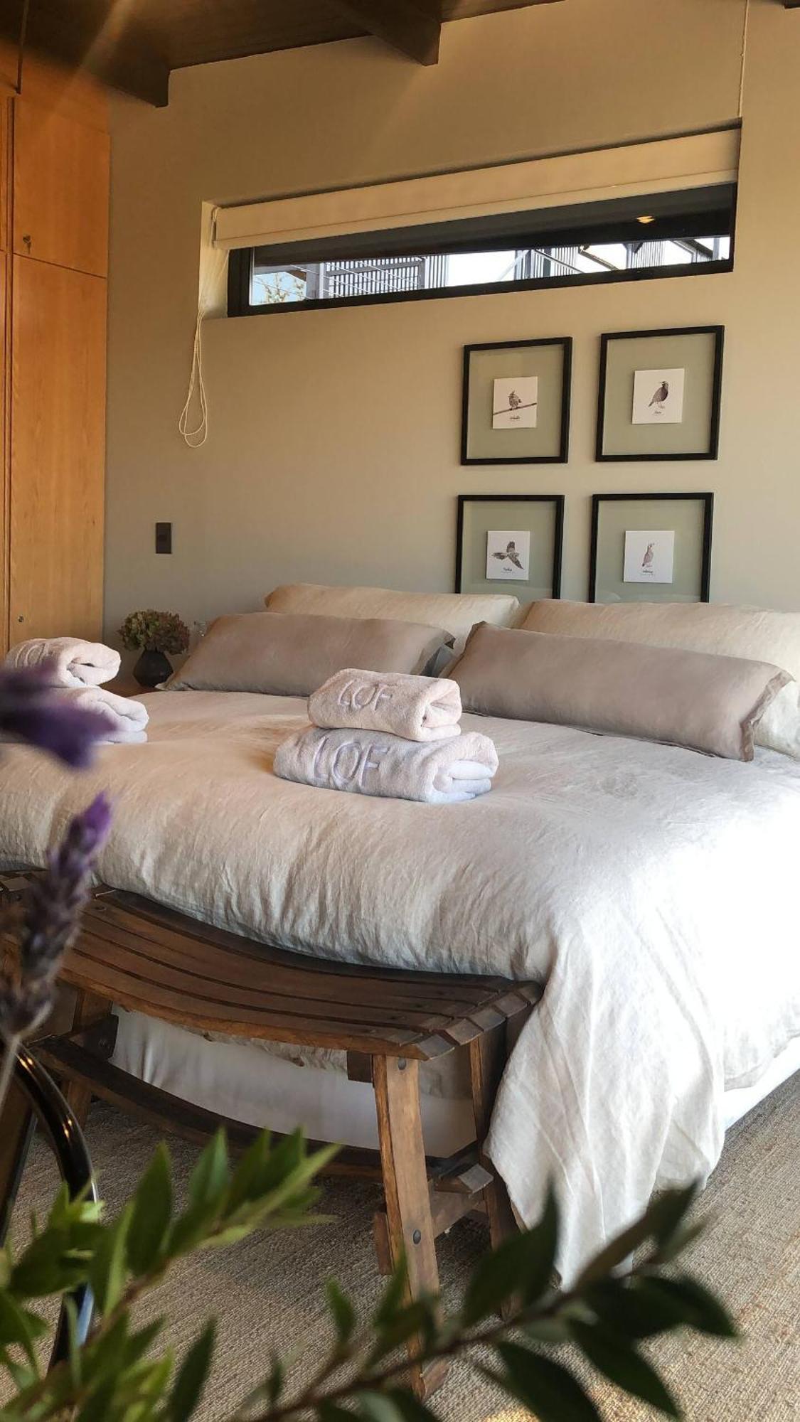 Vina Lof - Maipo Valley Bed & Breakfast In Winery Paine Exterior foto